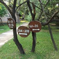 朝は余裕があれば散歩なんかも良いかもしれません。