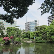 安田庭園の園内