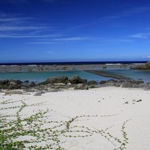 公園前の海です