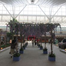 江戸小路（羽田空港国際線ターミナル）