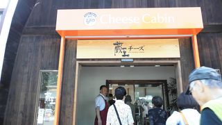 いろんな味のクリームチーズの試食ができます