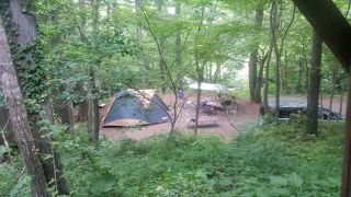 自然を満喫できるキャンプ場