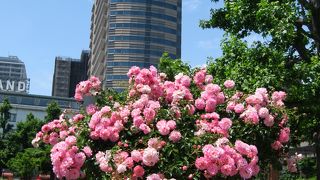 気持ちよかった！