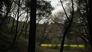 季節ごとに楽しめる自然公園です