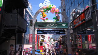 平日でも混んでいますね