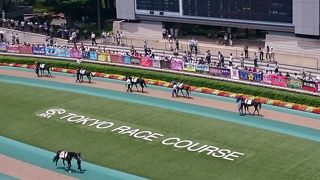 長い直線を実感！