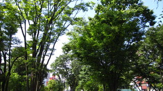 山手線沿いの細長い公園