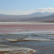 ウユニ発の3日ツアーで訪問、フラミンゴと赤い湖