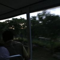 ナイトサファリに行くバス