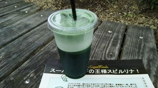 菜食メニューとスムージーのカフェ