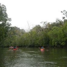 カヤックで進みます♪