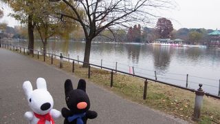 散歩にちょうど良いです