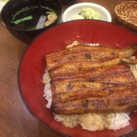 天然うなぎ 町田双葉