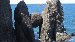 天然記念物です！