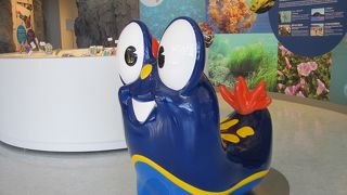 竹野スノーケルセンター