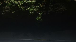 24時間営業の純喫茶