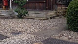 お庭が素晴らしい