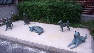 中野と言えば犬屋敷