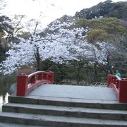 鶴ケ丘八幡宮・桜も見事で