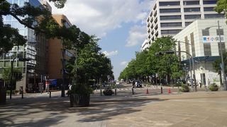 銀杏並木が美しいが……。