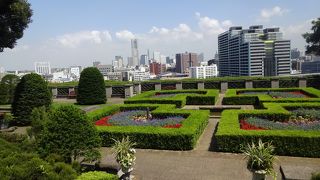 直線を生かした植栽が印象的な庭。