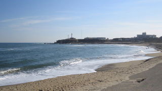 シノリガモを見てきました。