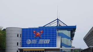 芦原温泉街からすぐ