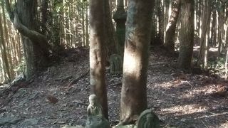 思ったより小さい