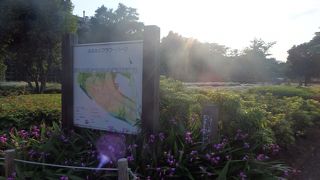 本庄ふるさとフラワーパーク