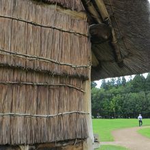 実際の縄文時代の村を散歩している気分になれます