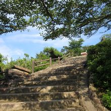 ここを上がるとお店です