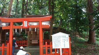 珍しい鳥の神社