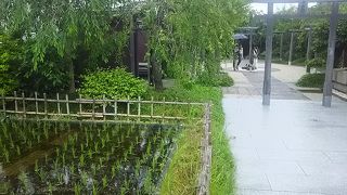 駅ビル屋上におられる神さまに、旅の安全を祈願。