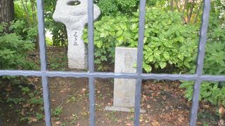 歩道より眺める