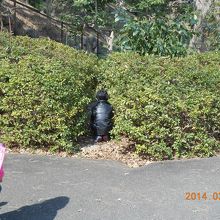 石室の石標は、ここにあります。