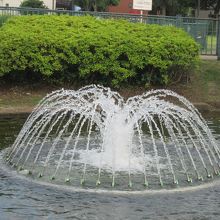 小さな噴水があります