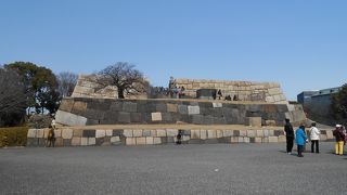 江戸城天守台です。