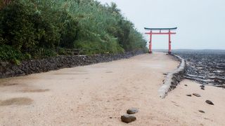 南国感たっぷりの青島