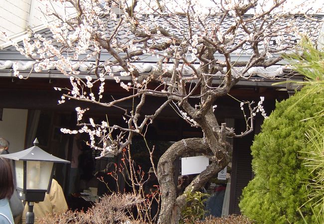 土方歳三資料館 クチコミ アクセス 営業時間 日野 昭島 フォートラベル