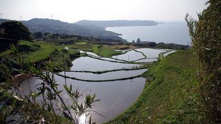 棚田と日本海が織りなす風景は正に絶景でした
