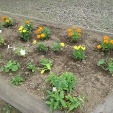 ホームに花壇があります