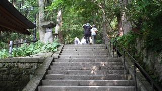 絶景が見られました