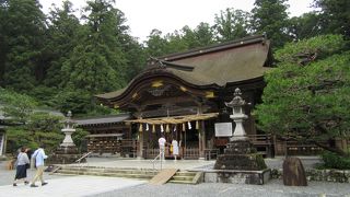 古代の森に鎮座するパワースポット