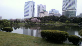 池越しにビルを眺める