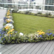 植物で癒される空間です