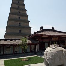 後ろ側から撮った写真