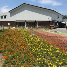 綺麗なサービスエリア