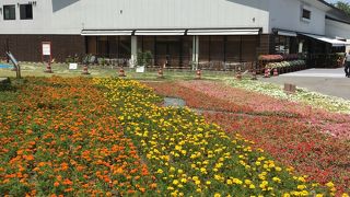 お土産品が充実しています。