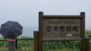 小雨の富士野園地