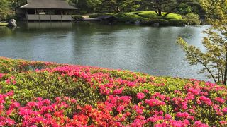 歳月を経て美しく仕上がった日本庭園